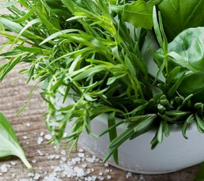11 petits trésors aromatiques