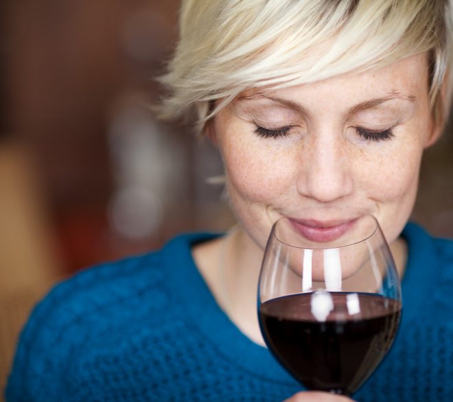 Les Vins de la rentrée