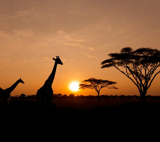Des vues de l’Afrique en avril