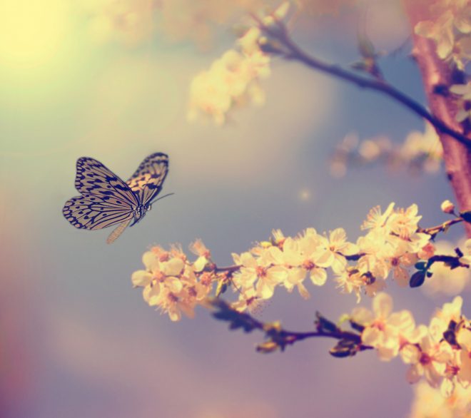 Que faire en plein air ce printemps? 